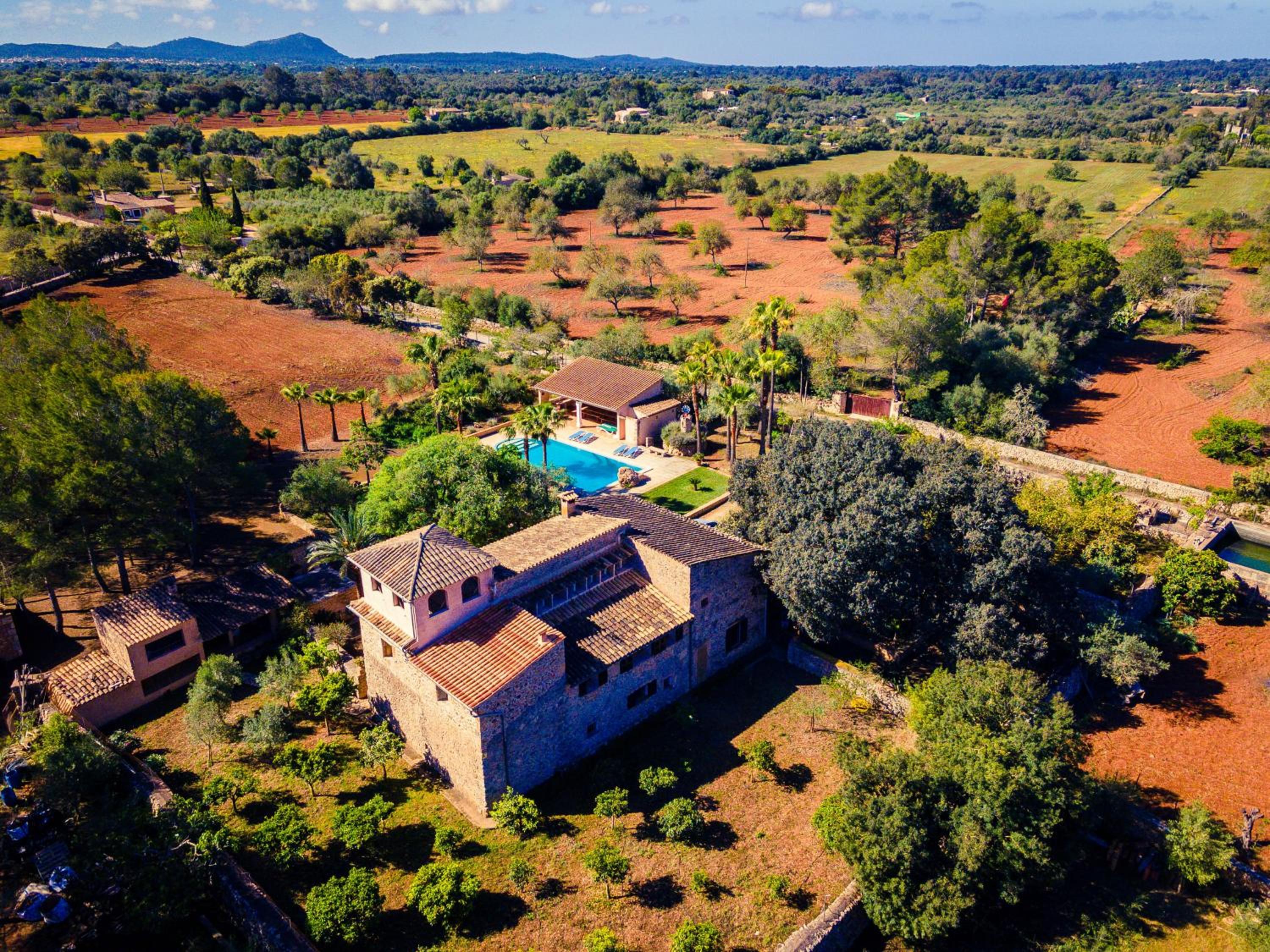 Finca Can Trius, Oase ganz nah an Palma view 5
