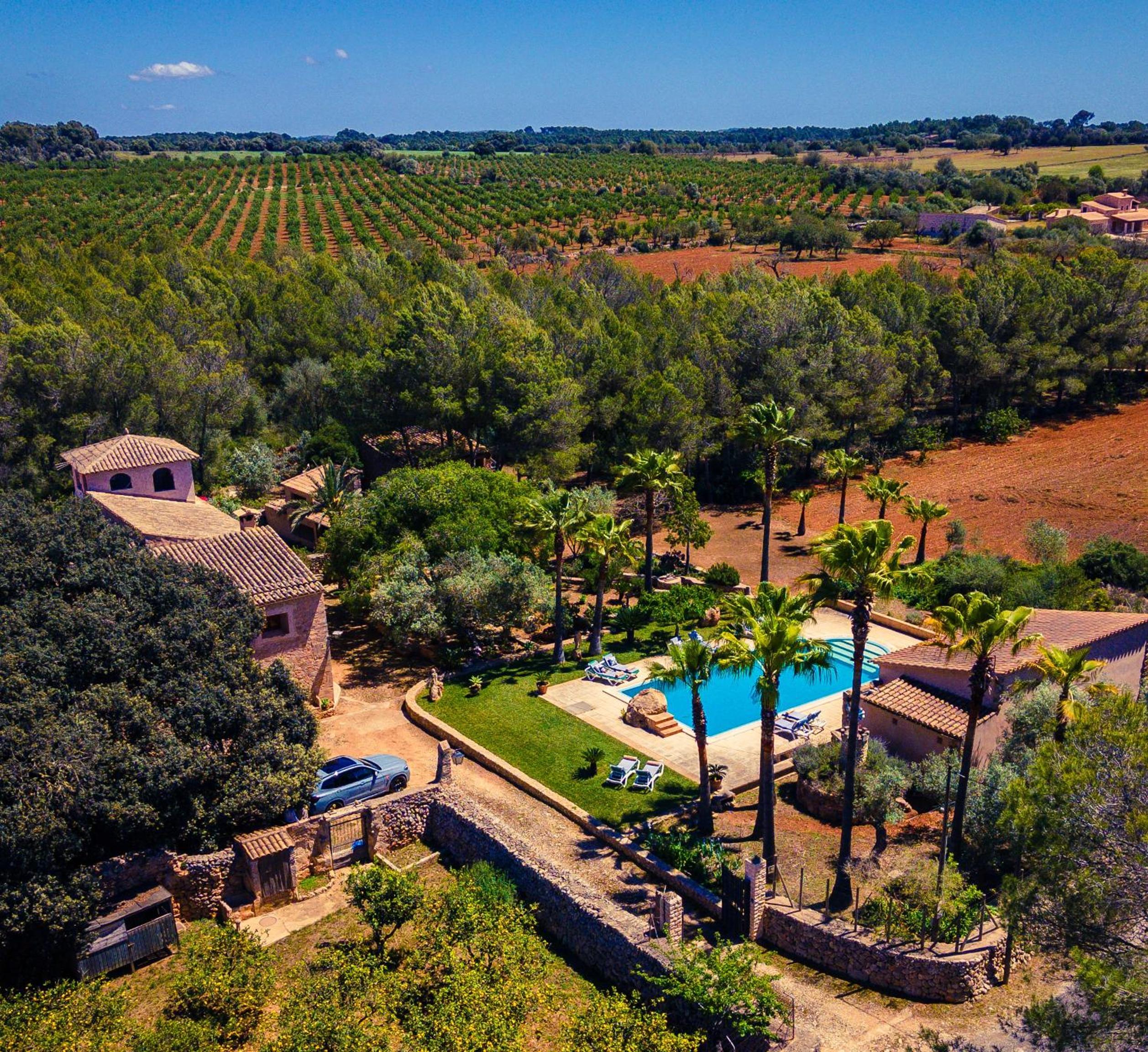 Finca Can Trius, Oase ganz nah an Palma view 2