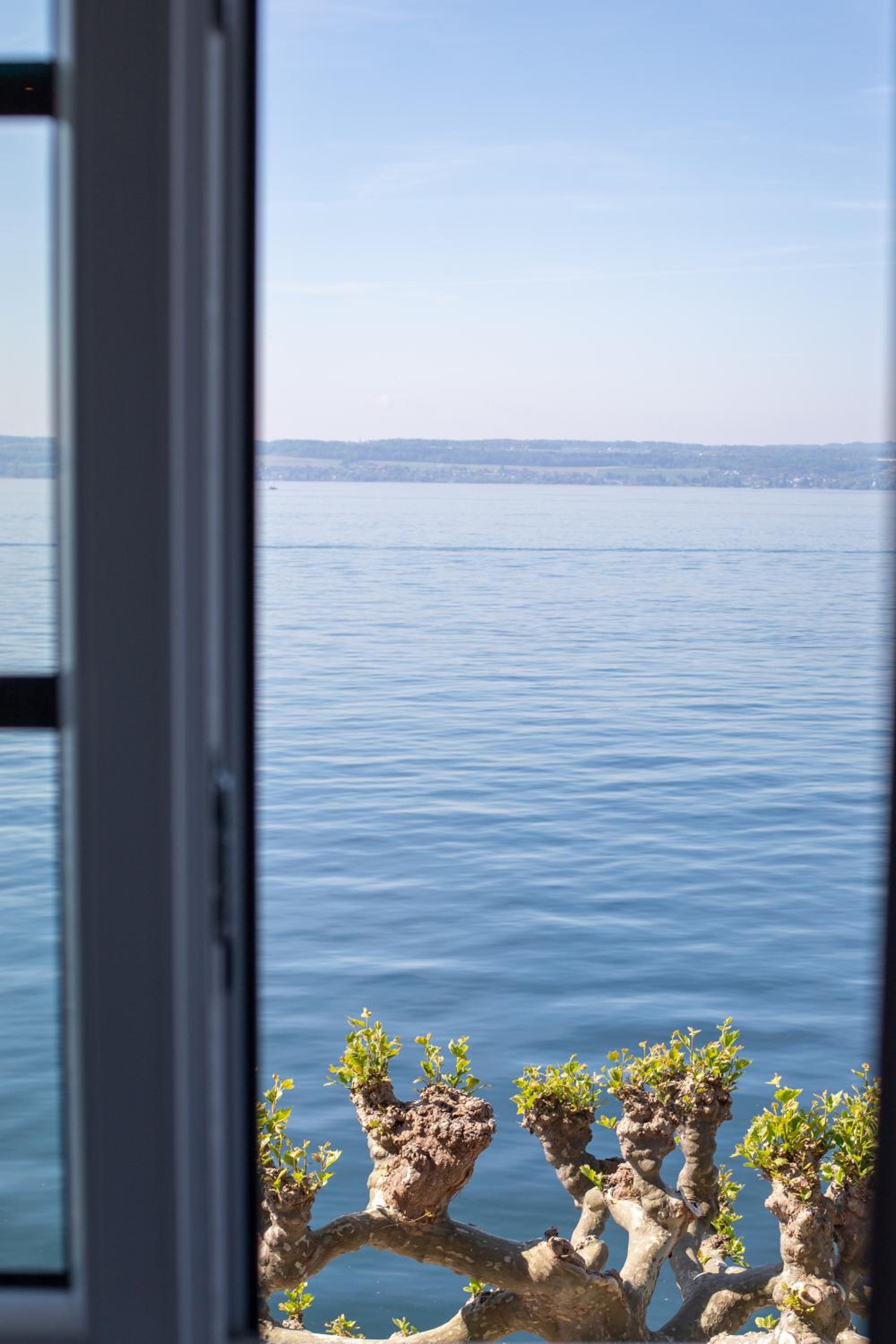 ZwoVier Meersburg