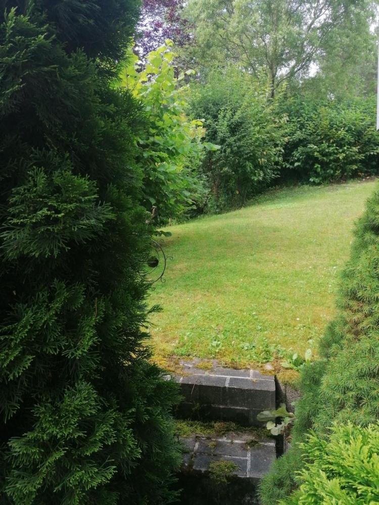 FeWo Grenzenlos in Ramsberg