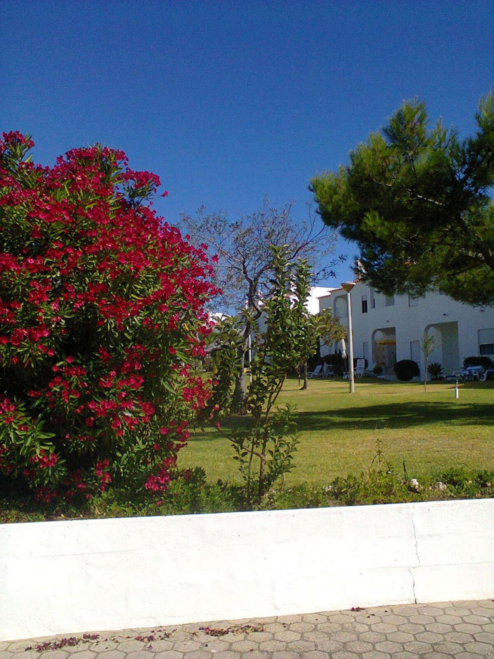 Quinta Do Torrejao view 5