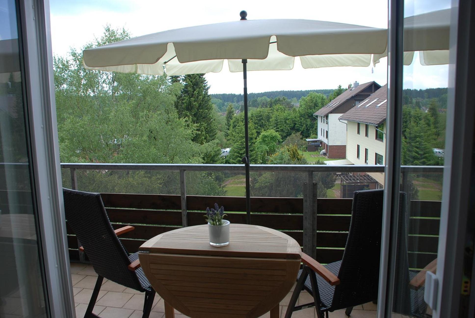 Harz Blick