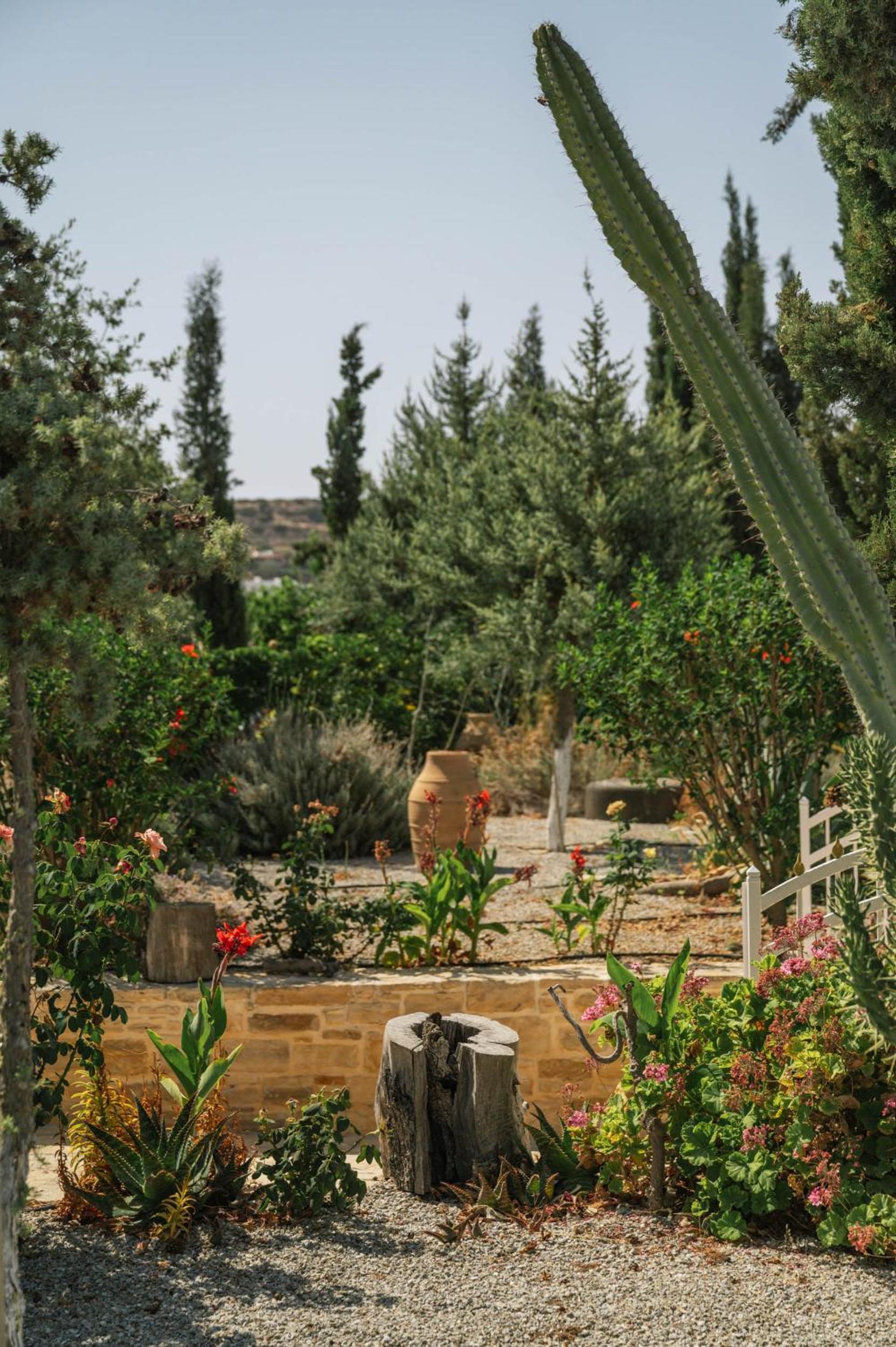Villa Xenophon photo 2