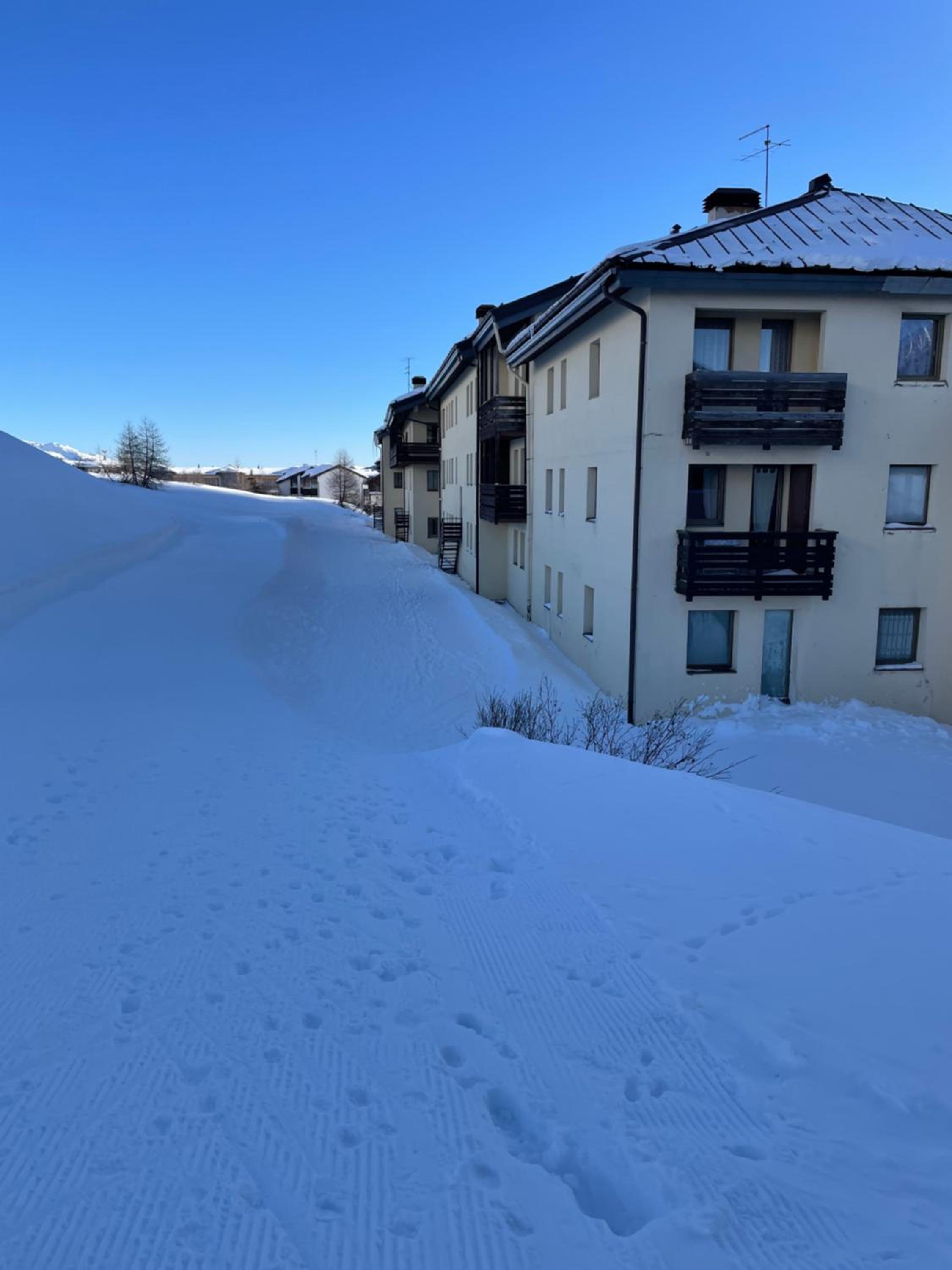Tonale Ski-in AlpView Studio