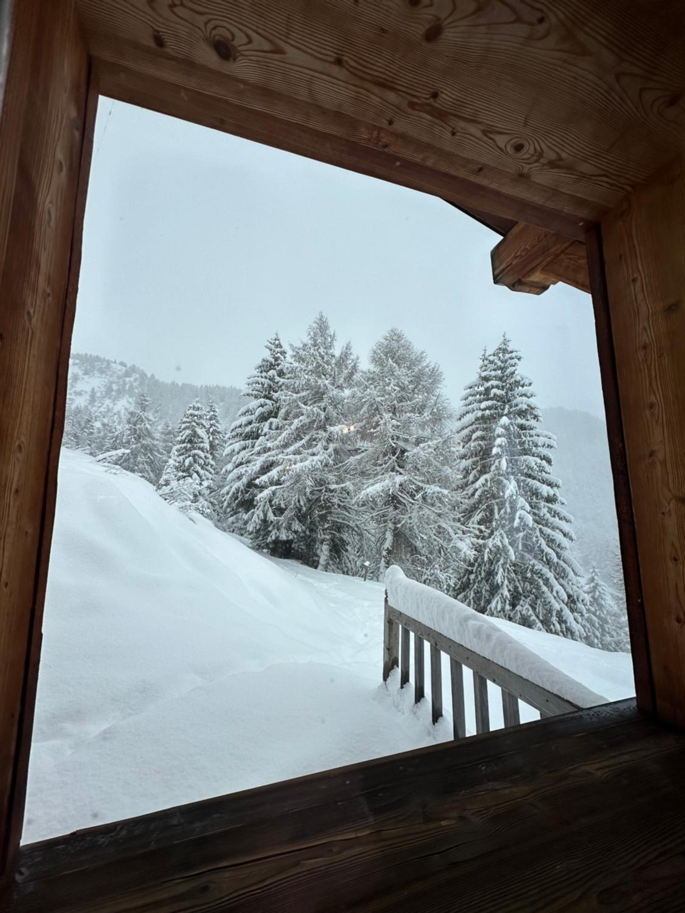 Tonale Ski-in AlpView Studio view 5