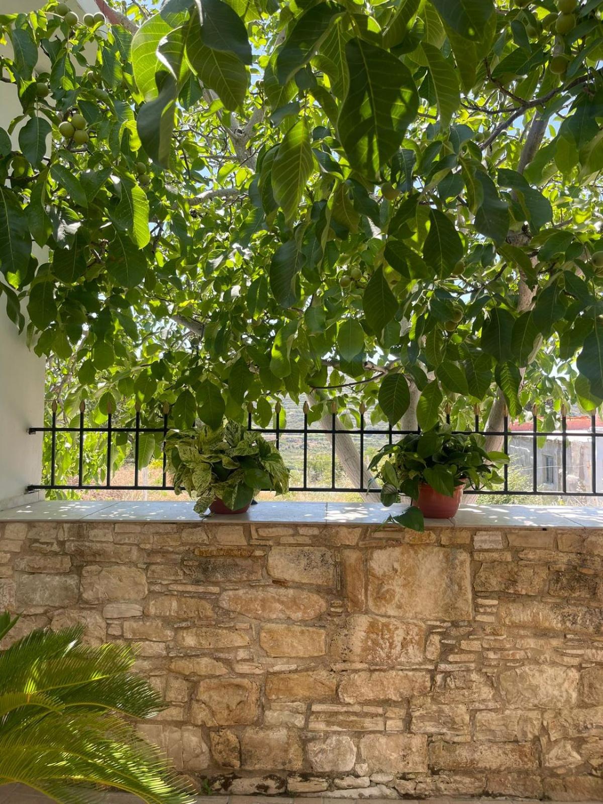 Omodos Serenity House