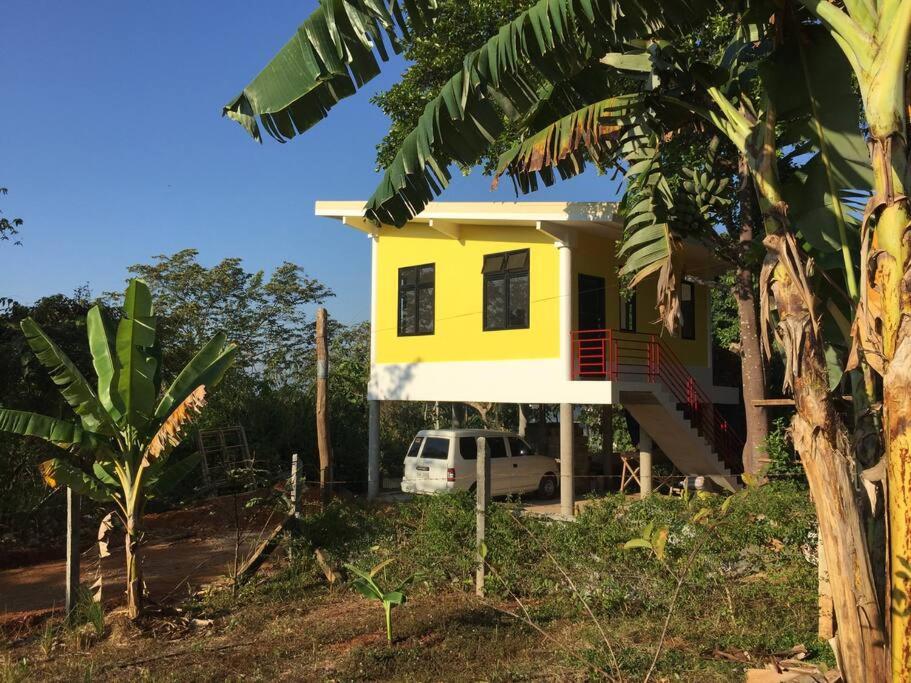 The Yellow House view 3