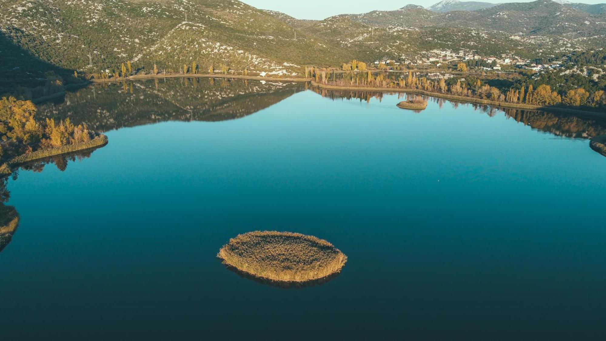Apartmani Portina
