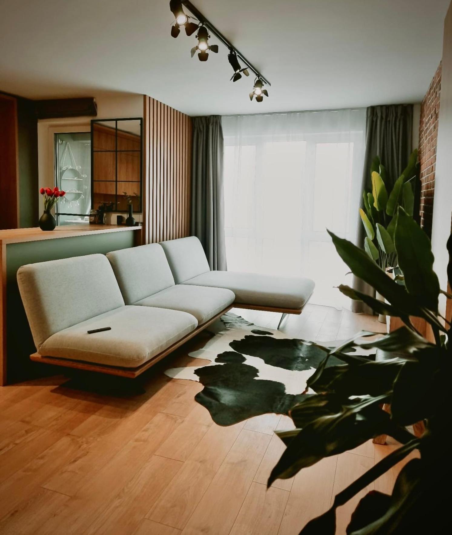 Jungle Apartament Vivo view 4