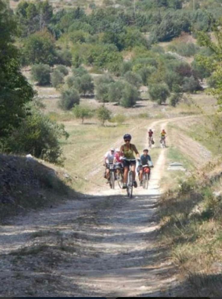Photo 45
