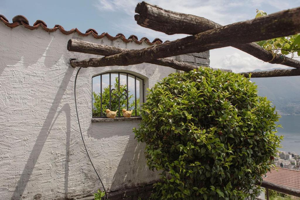 Casa Rondinella App 9500