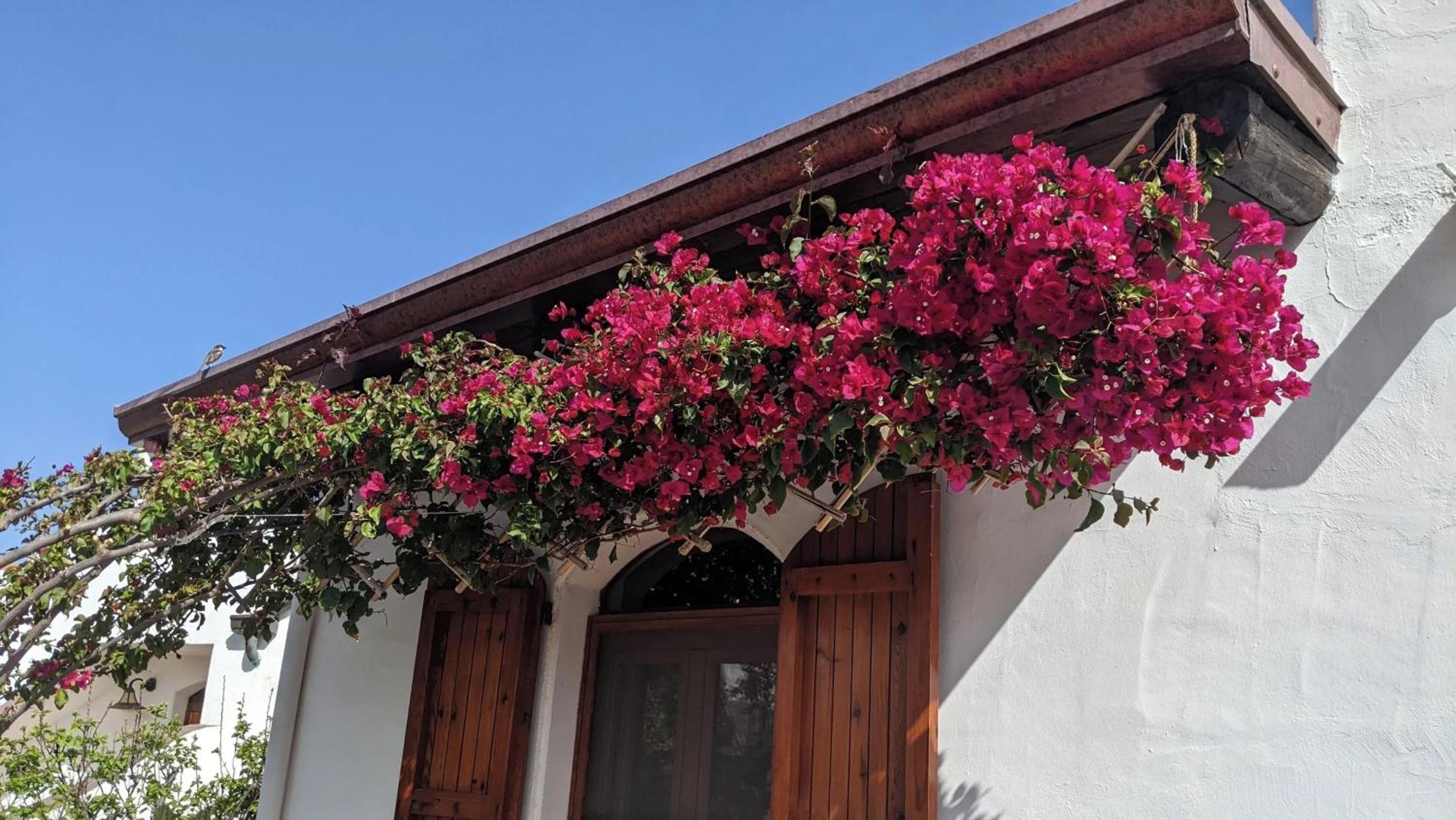 Charming house with sea view in Valledoria