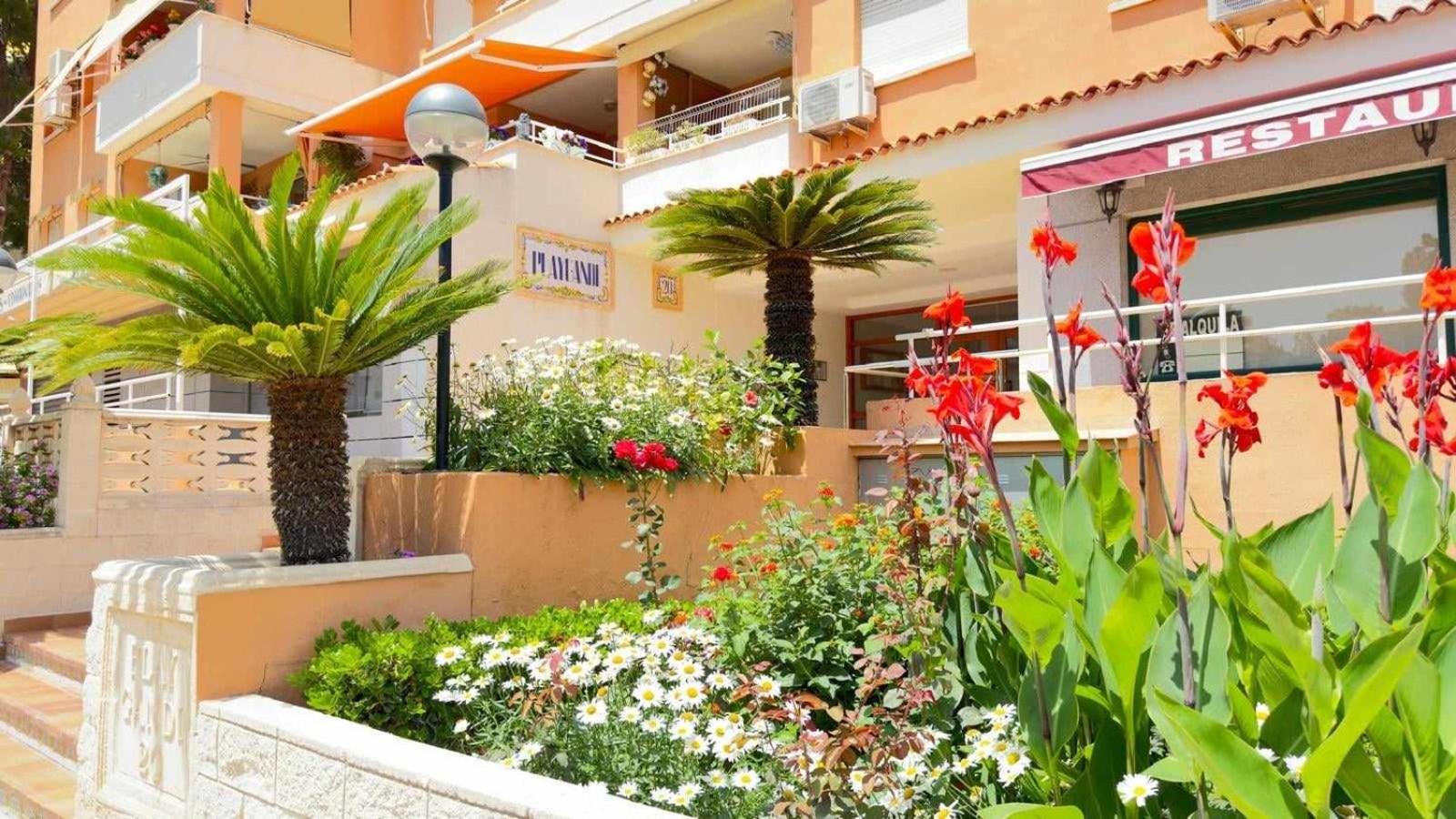 Apartamento PARADISE Solo Familias