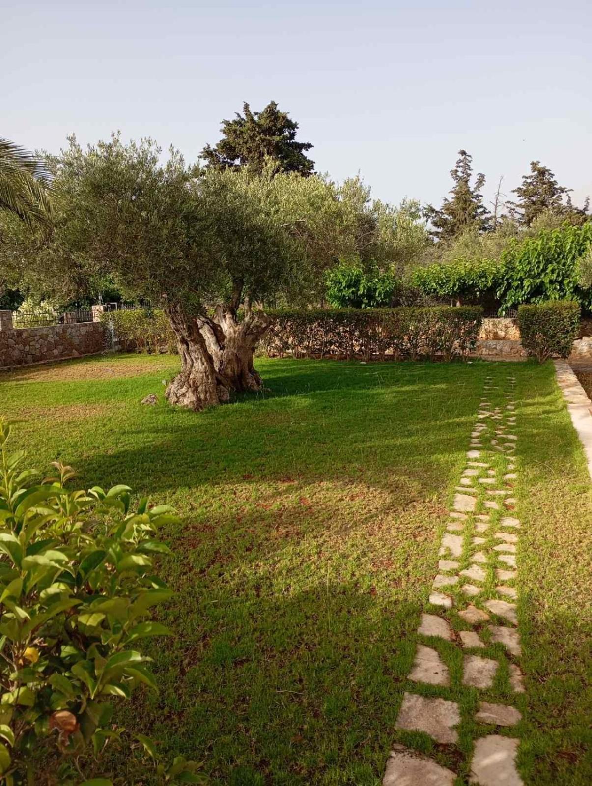 Villa Anthi Kefalas