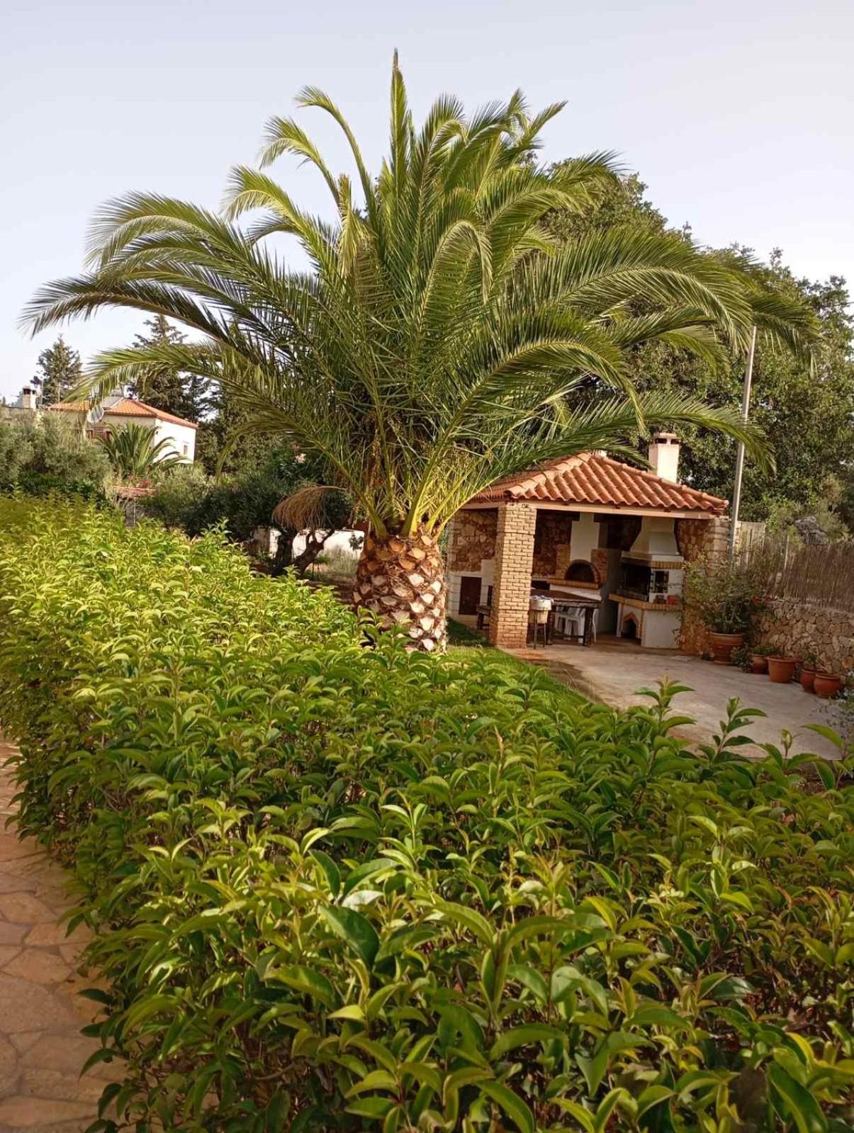 Villa Anthi Kefalas