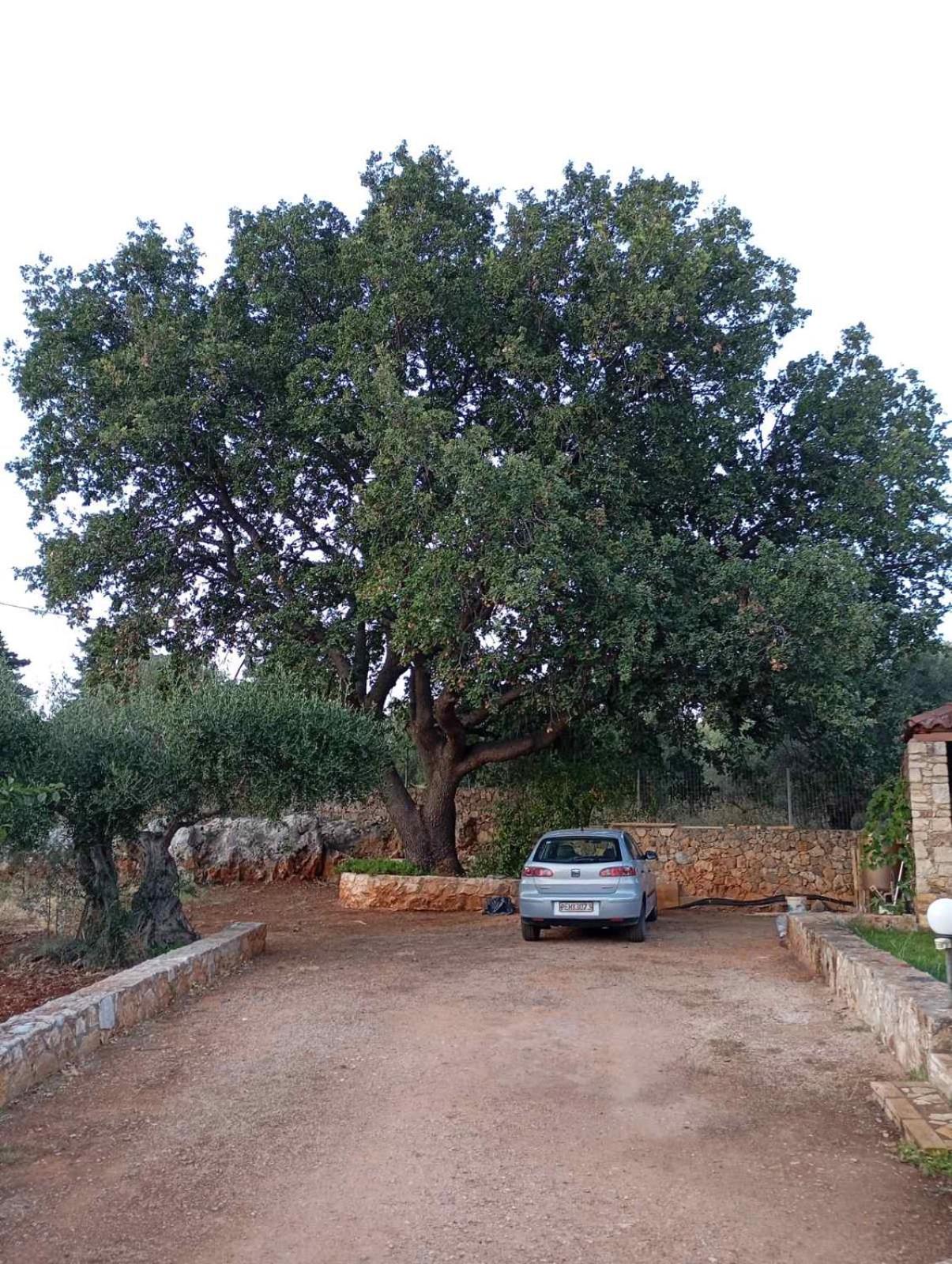 Villa Anthi Kefalas