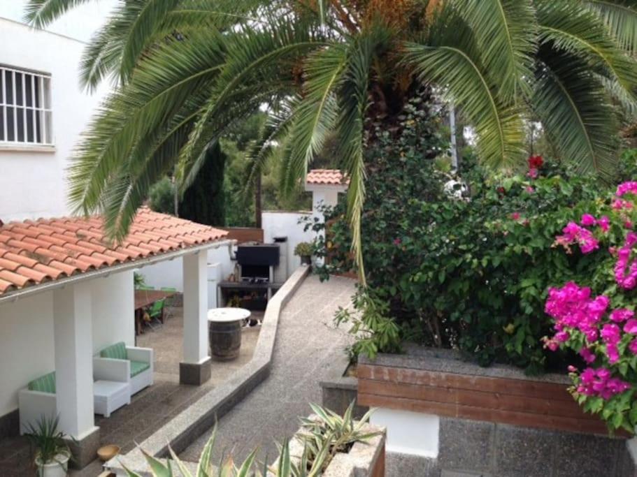Moderna villa con piscina y amplio jardín view 2