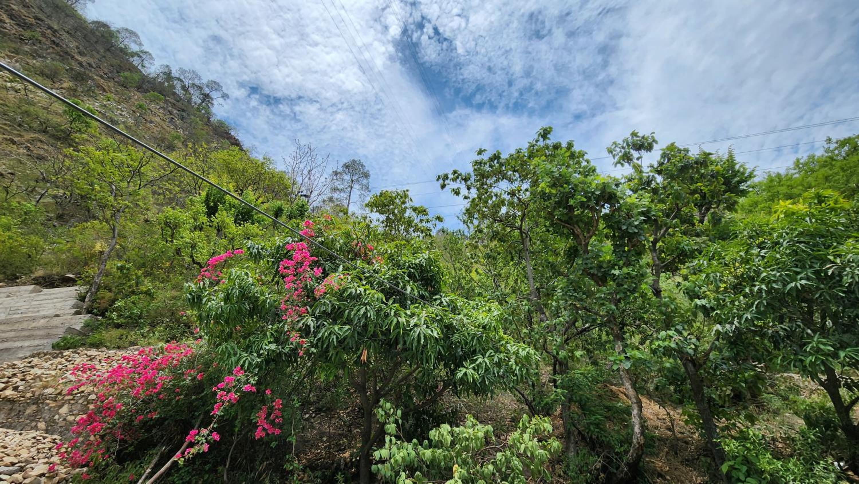 RANA Homestay view 4
