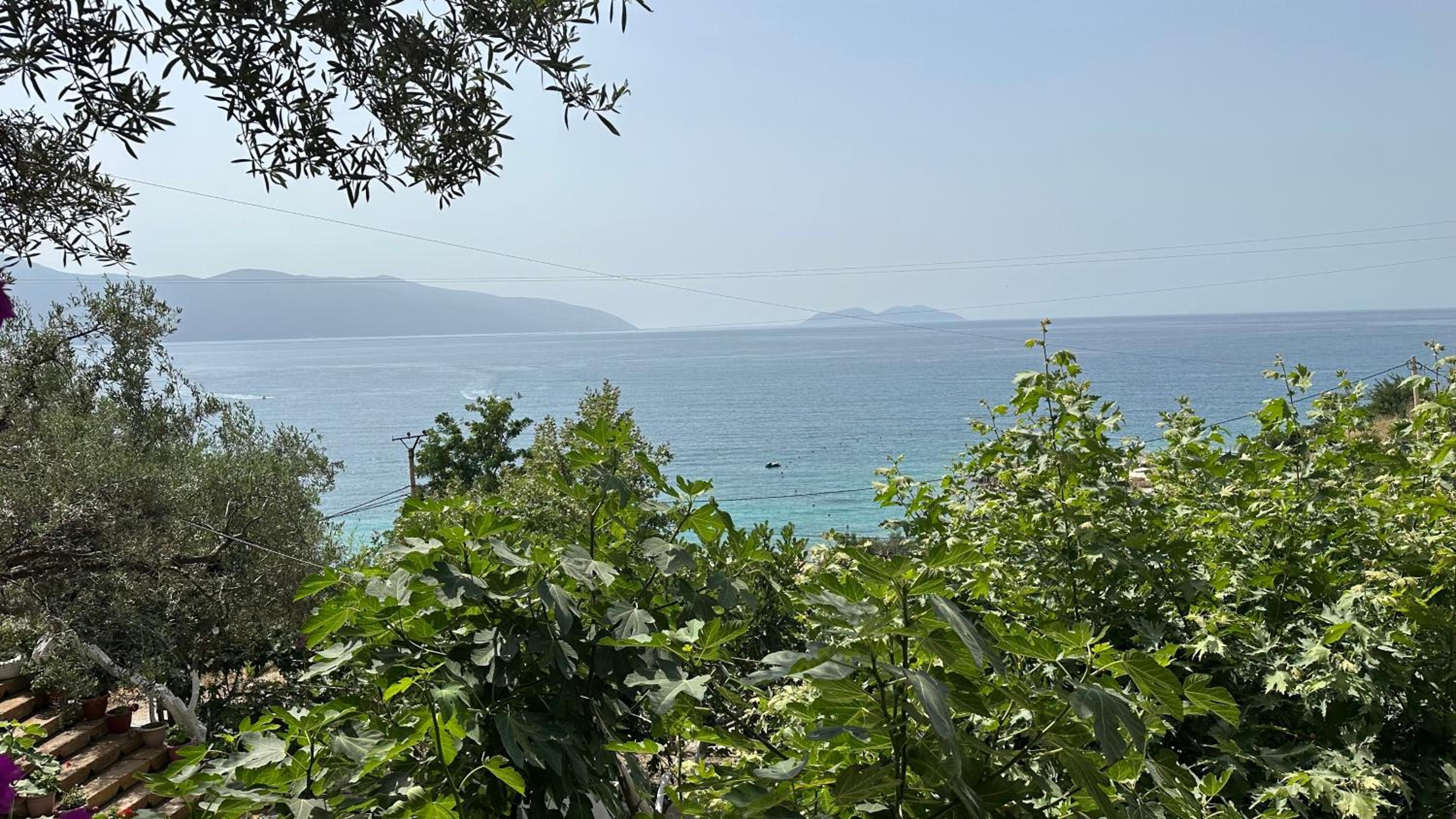 Firauni Studios