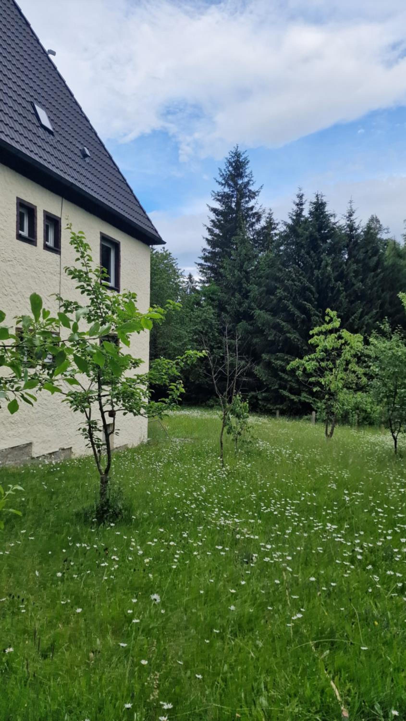 Altes Zollhaus im Wald