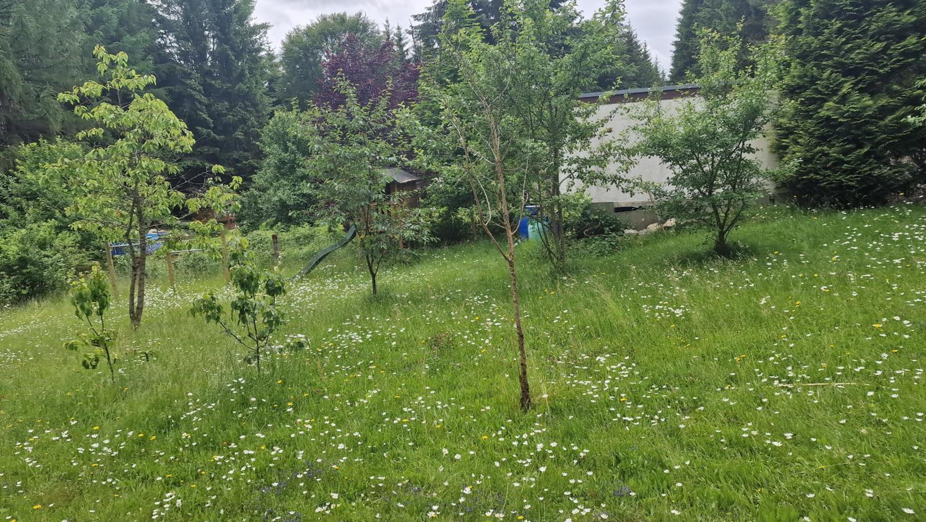Altes Zollhaus im Wald
