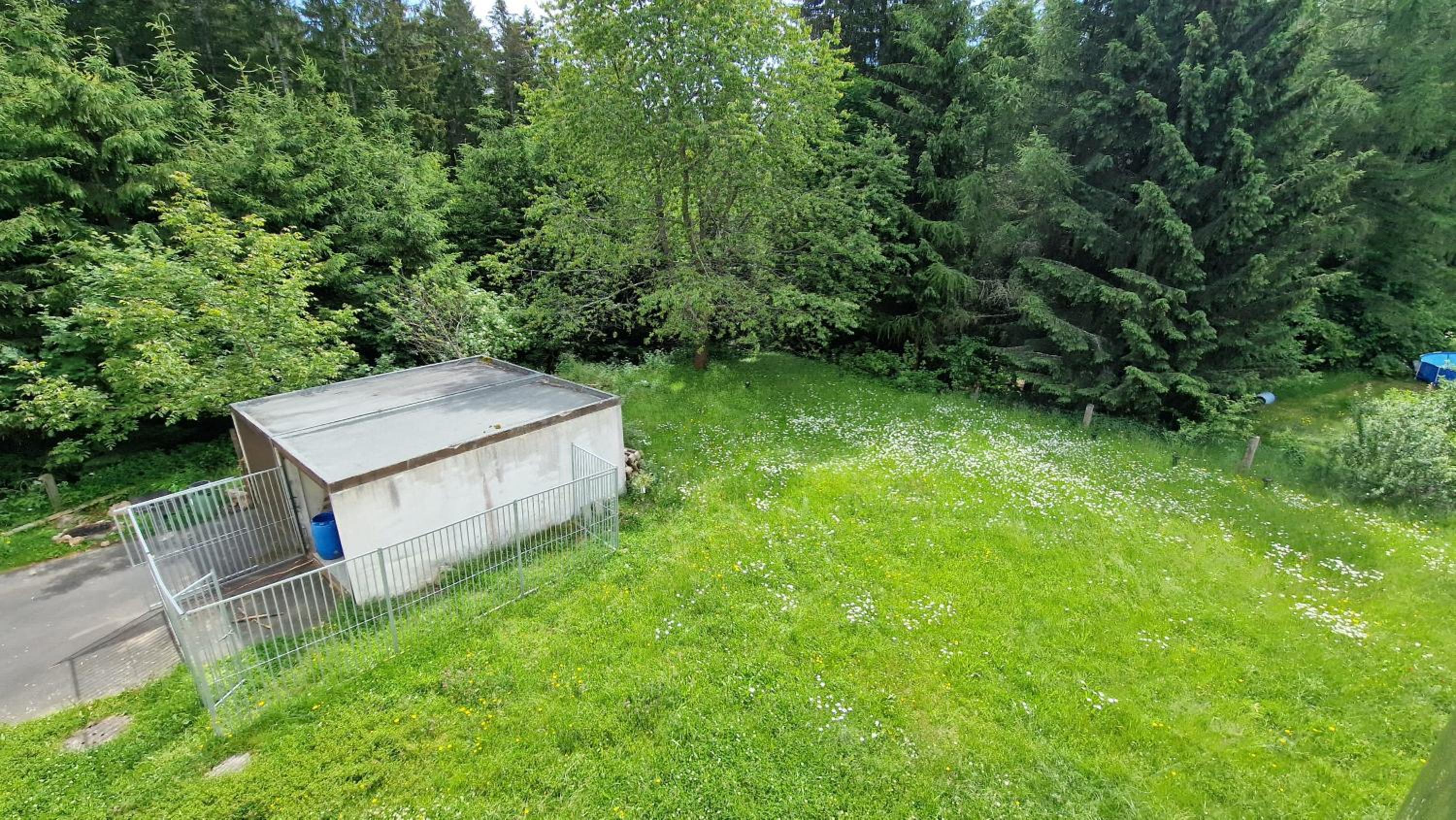 Altes Zollhaus im Wald