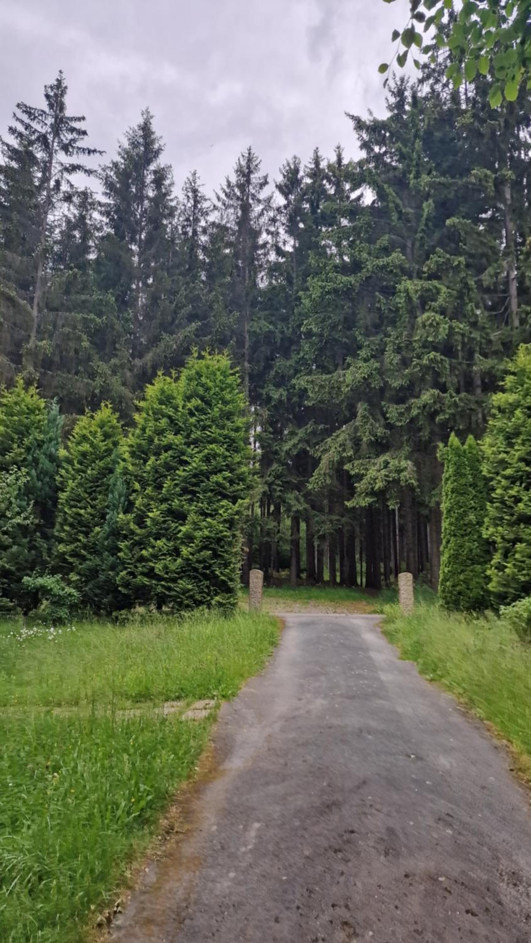 Altes Zollhaus im Wald