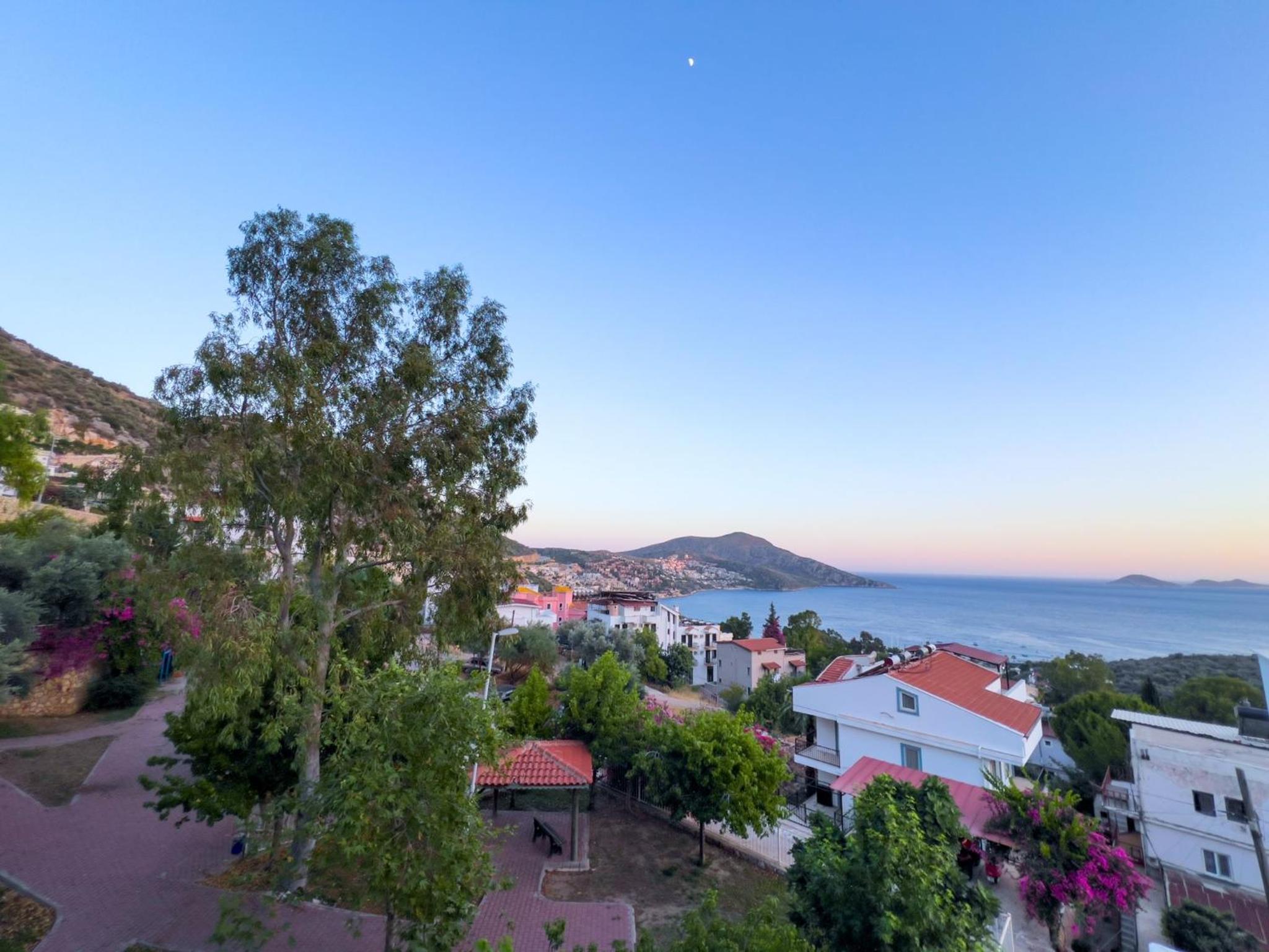 Seahorse Kalkan