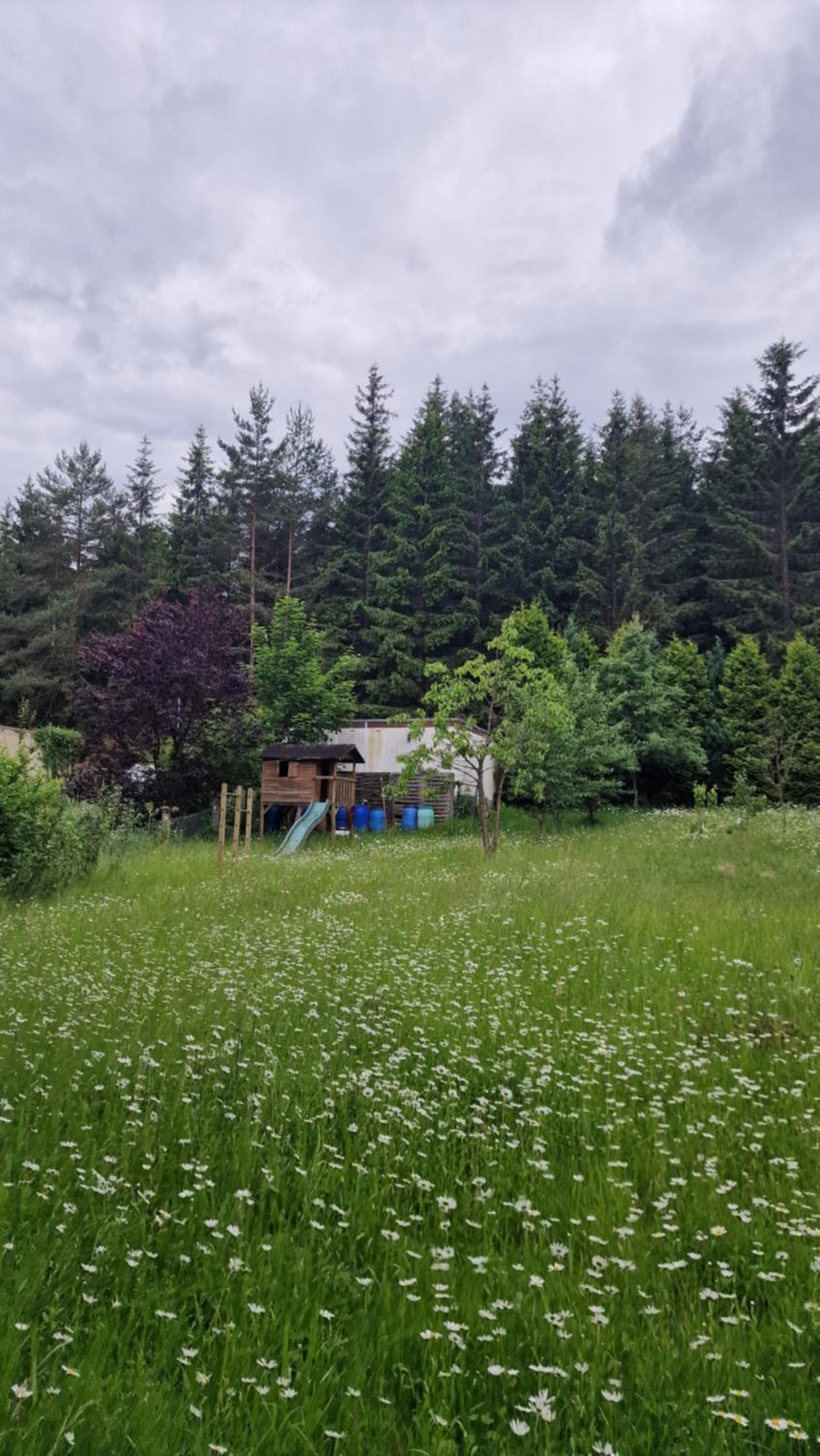Altes Zollhaus im Wald