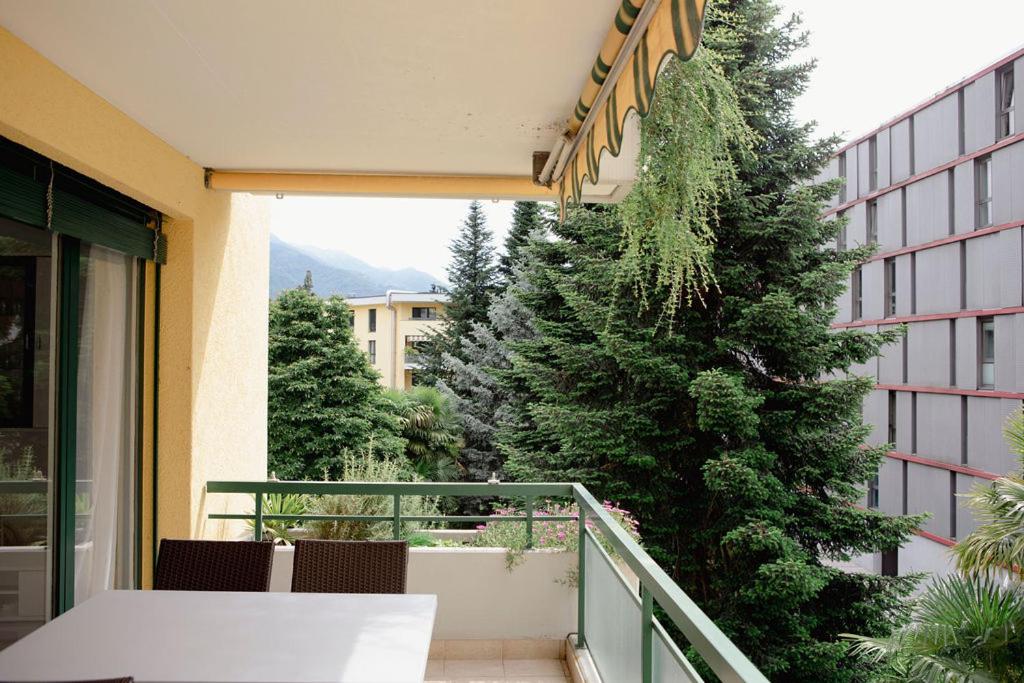 Residenza Robinia - Objekt 6500