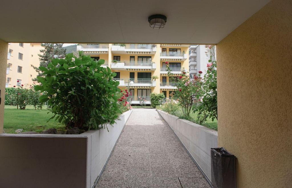 Residenza Robinia - Objekt 6500