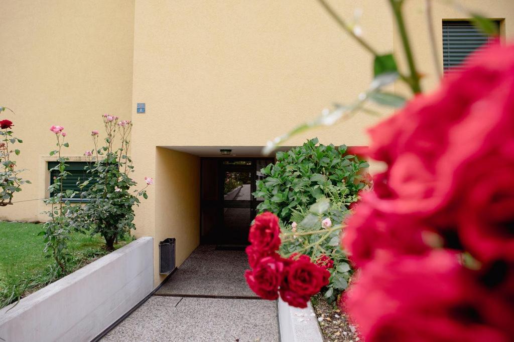 Residenza Robinia - Objekt 6500