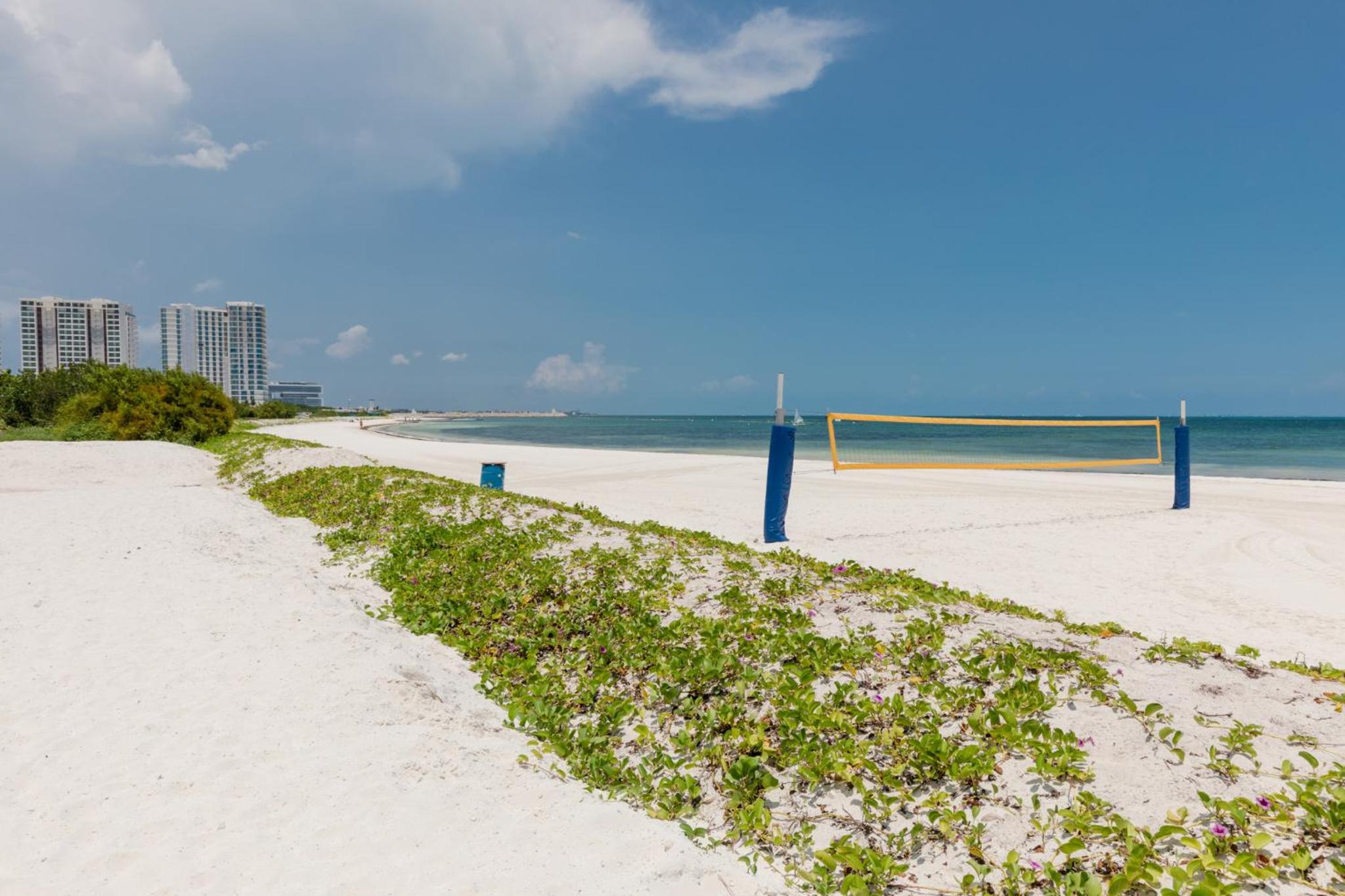 Ocean view condo - Beach, pool & jacuzzi!