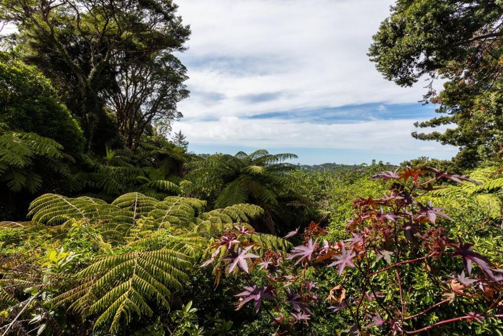 Glow-worms Titirangi