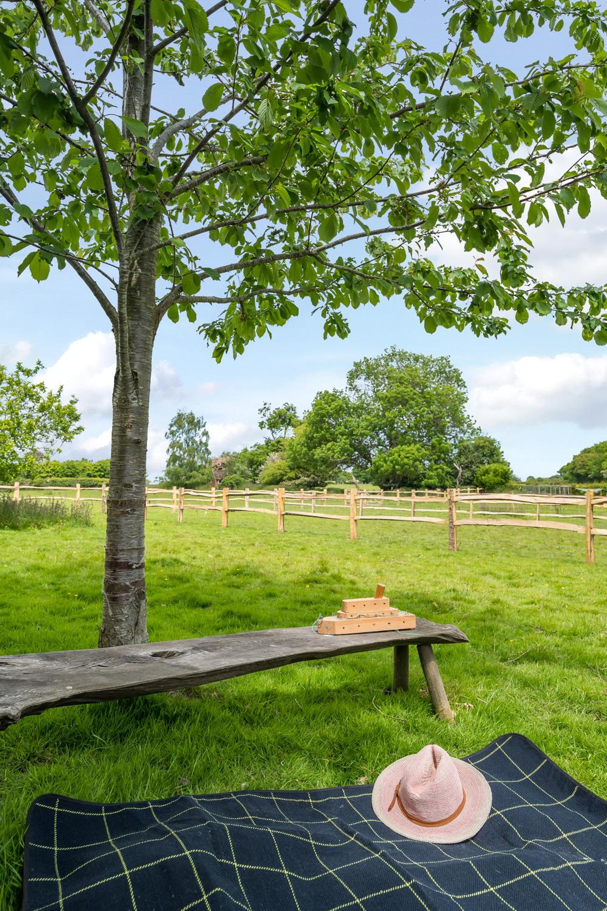 Stylish family friendly retreat near Rye view 3