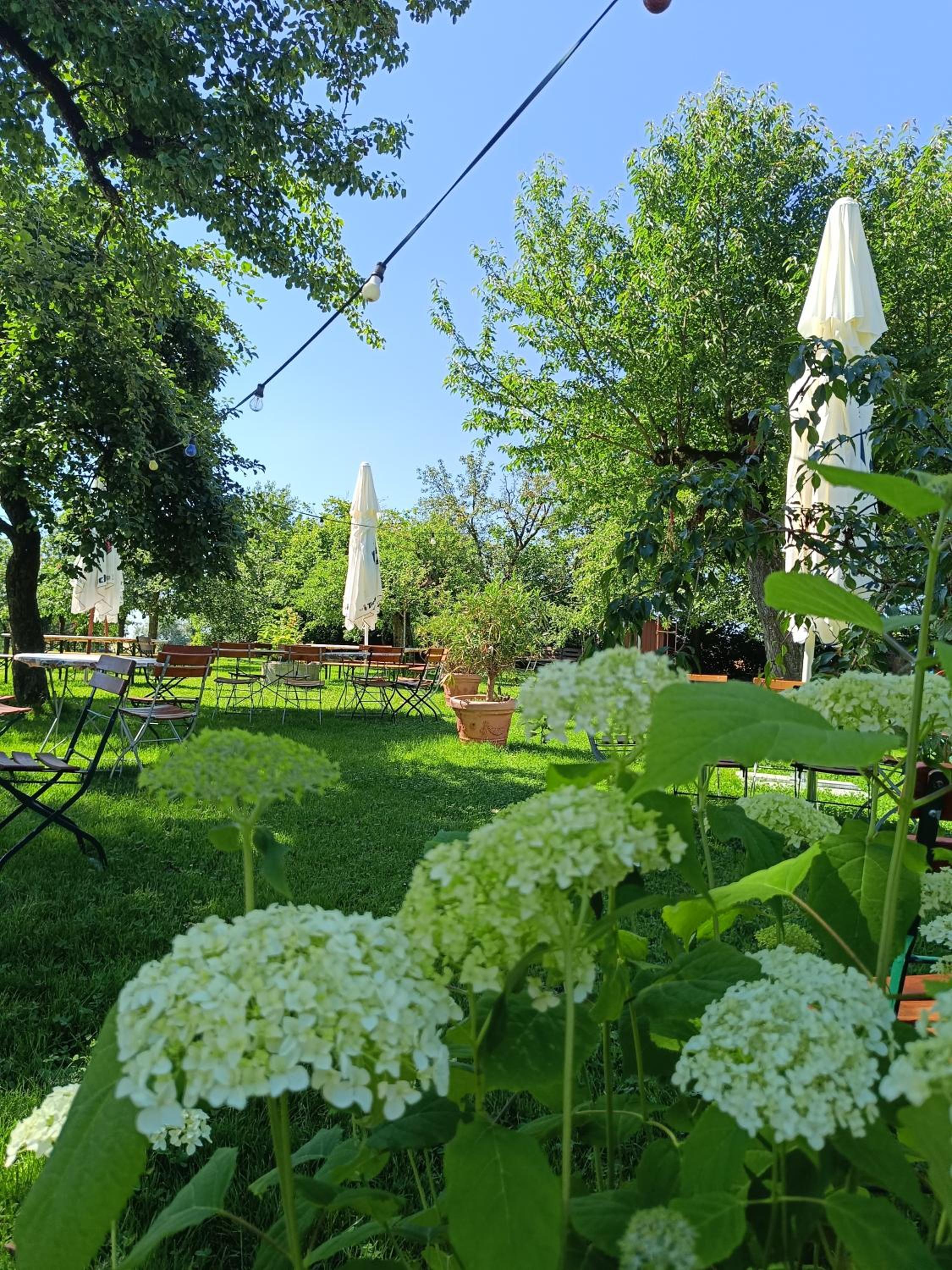 Landgasthof zum Rappen