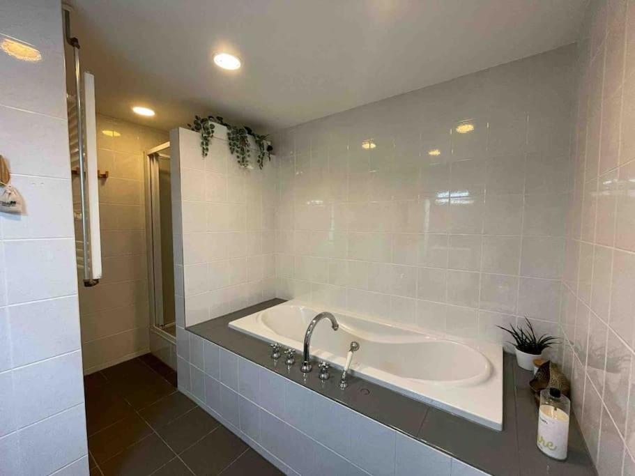 Cozy apartment close to the dunes and the beach view 5