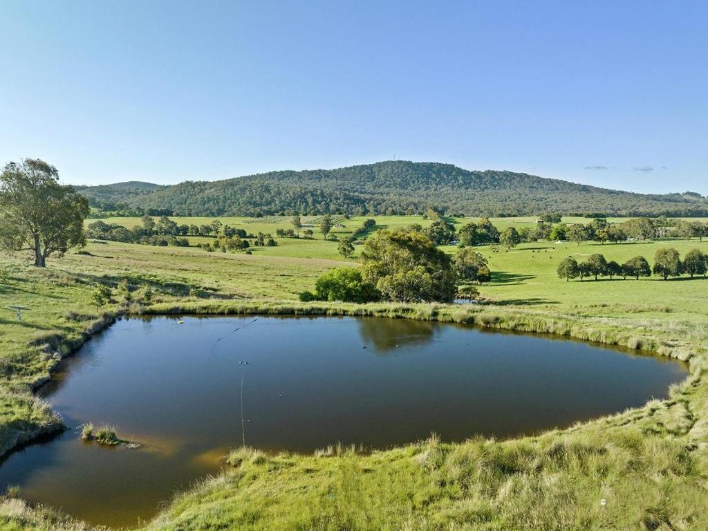 Seven Creeks Escape - Farm Stay