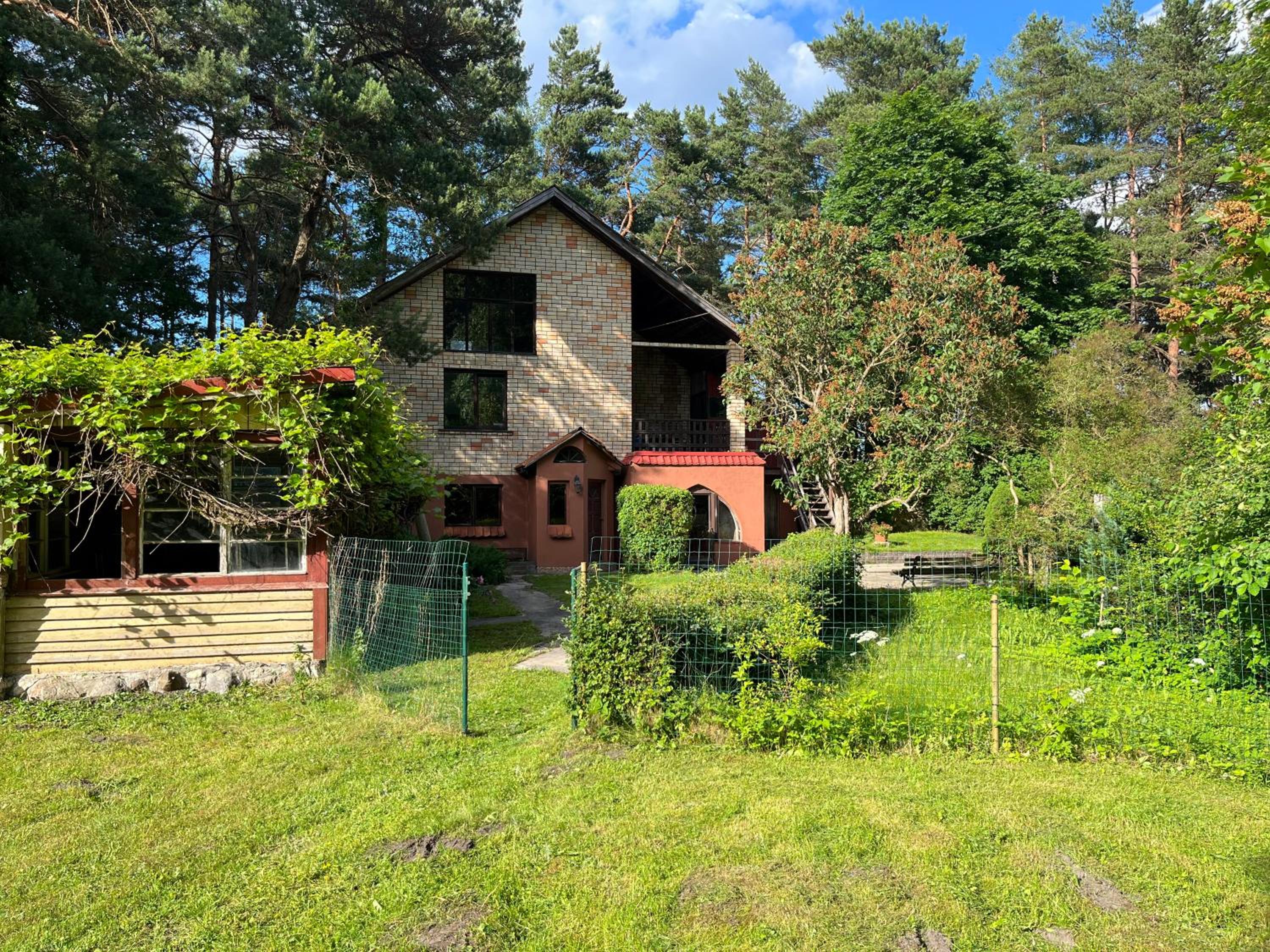 Photo 12
