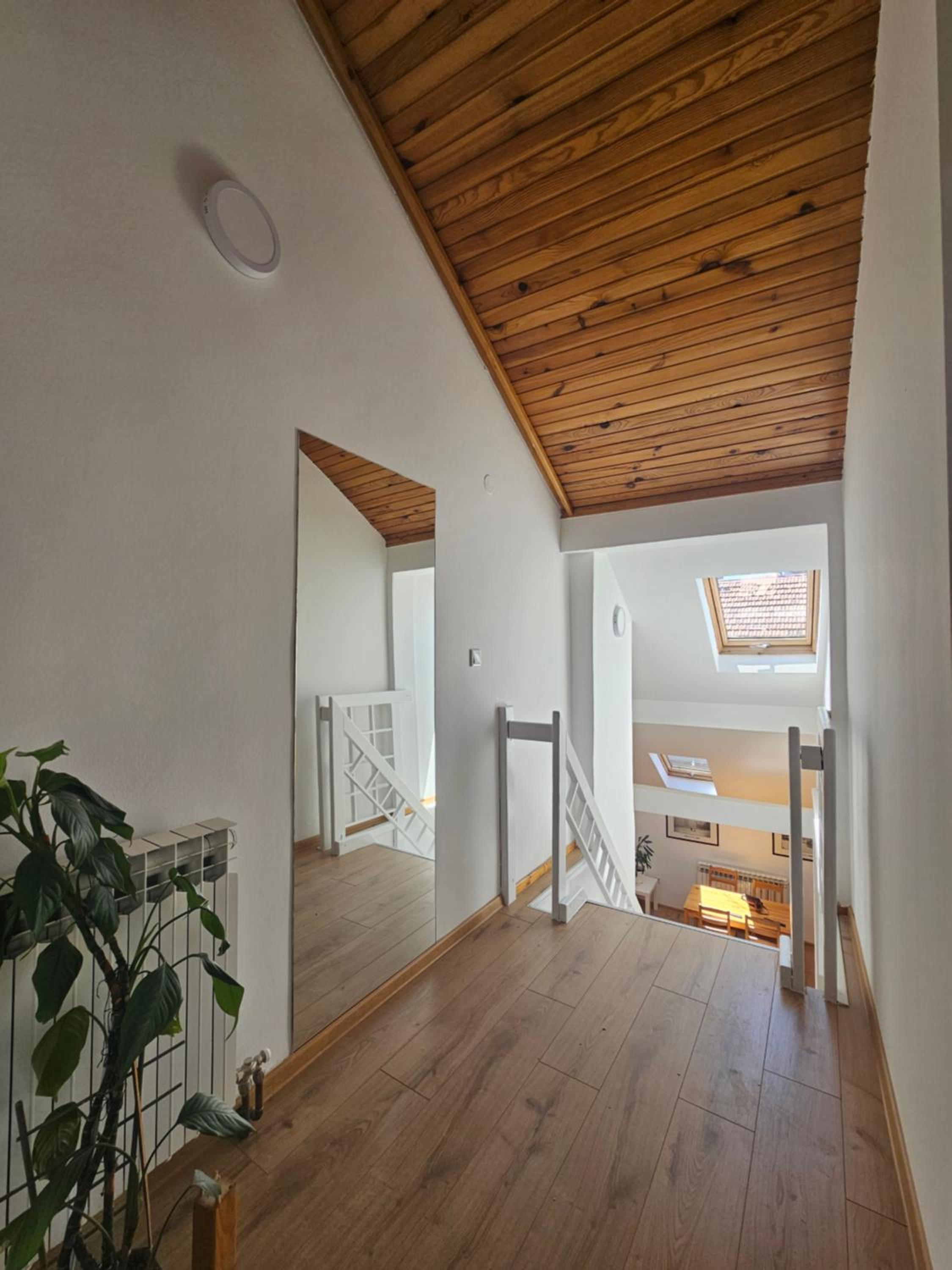 Leopold Chillout Hostel