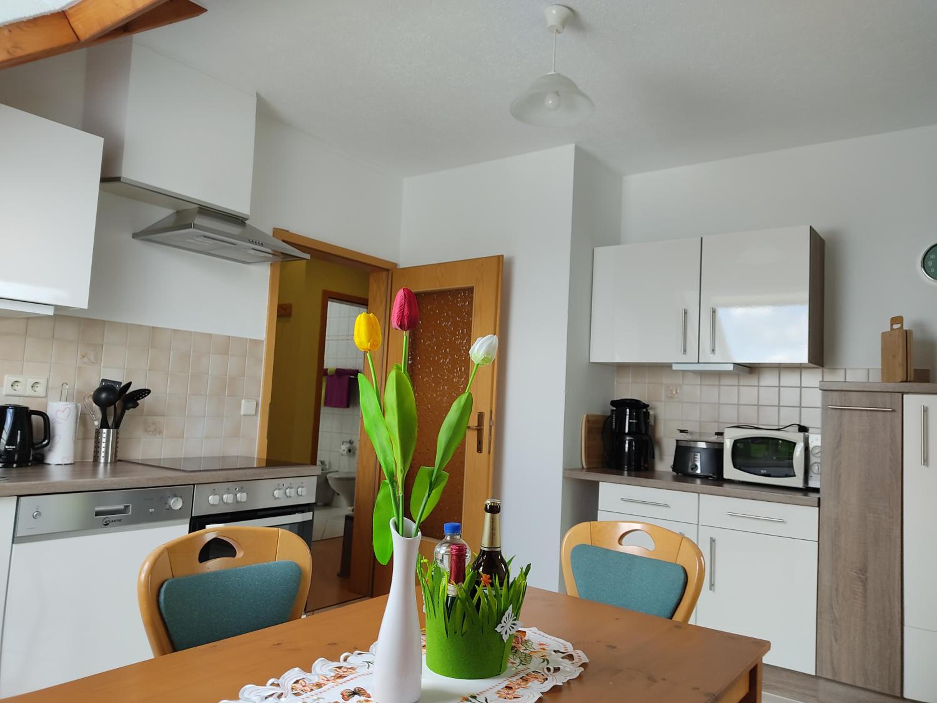 Gemütliche Ferienwohnung im schönen Erzgebirge - Wohnung Frühling