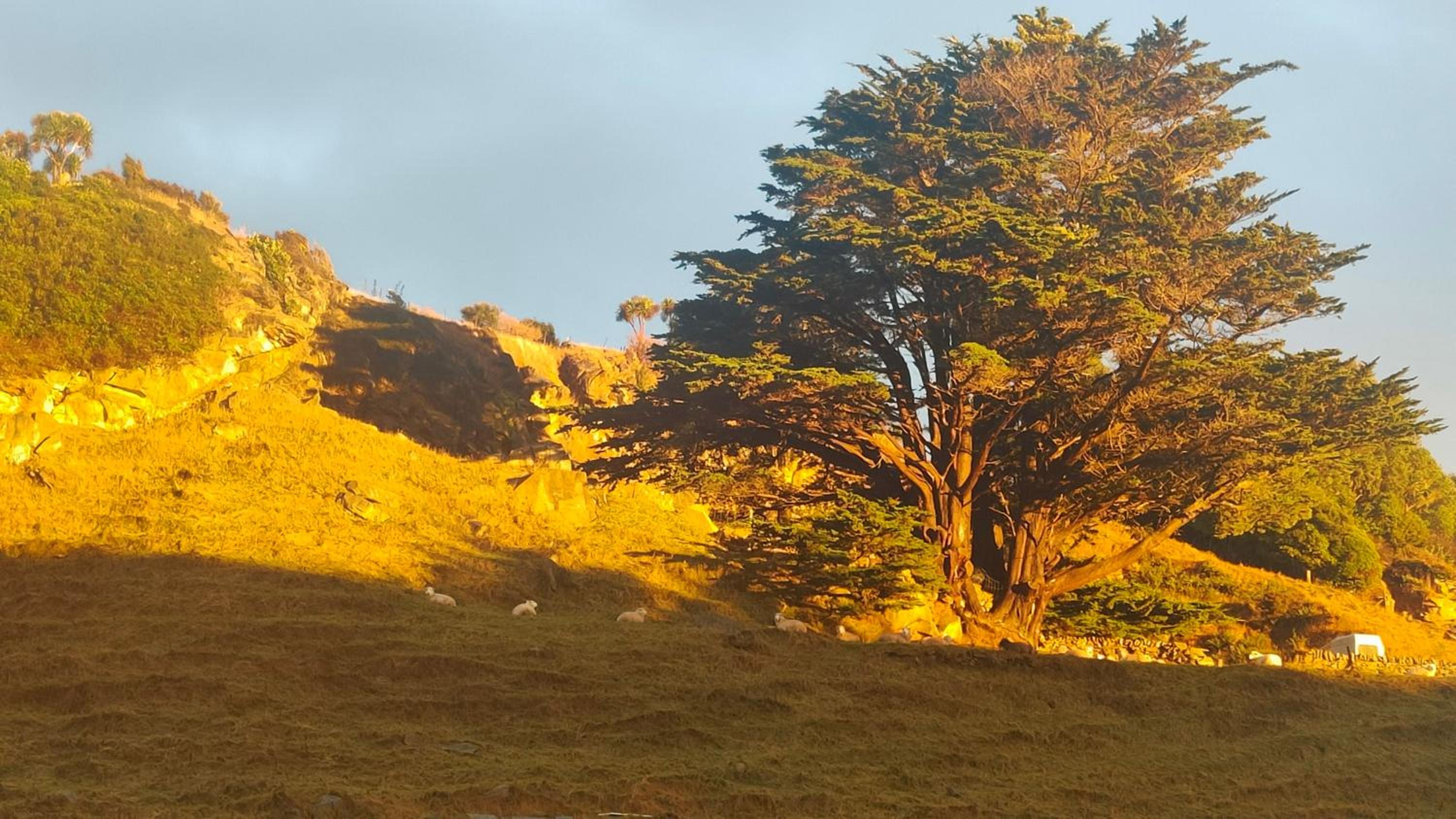 Pukemara Retreat