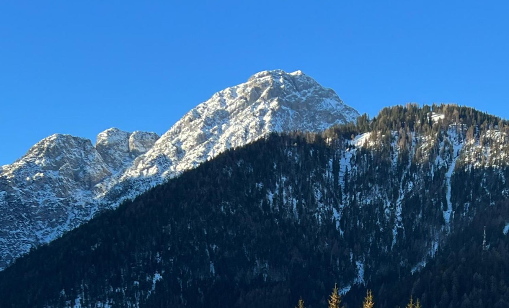 Guesthouse Rosengarten