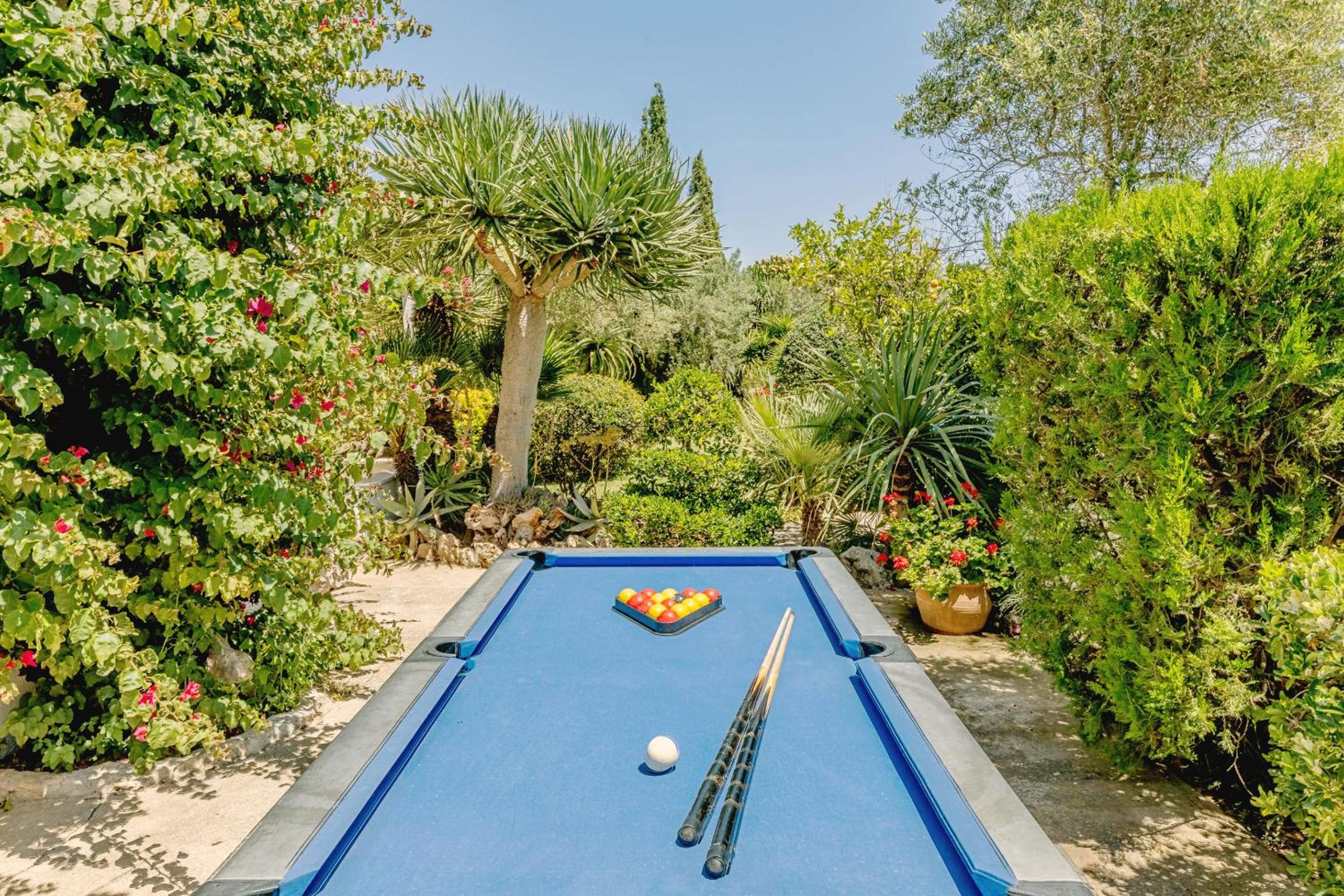 activities & amenities