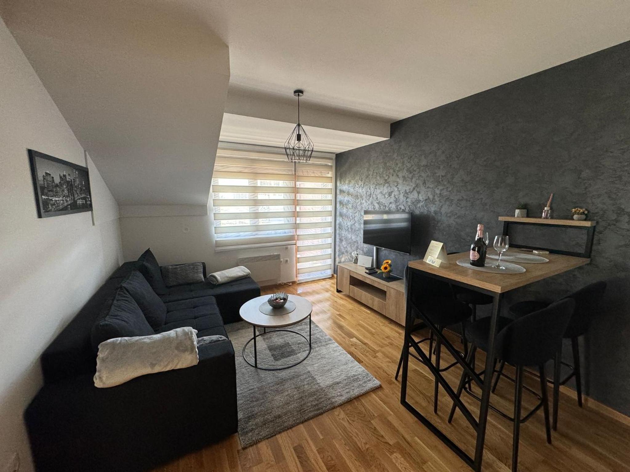 Lux Apartman Aleksandar view 5