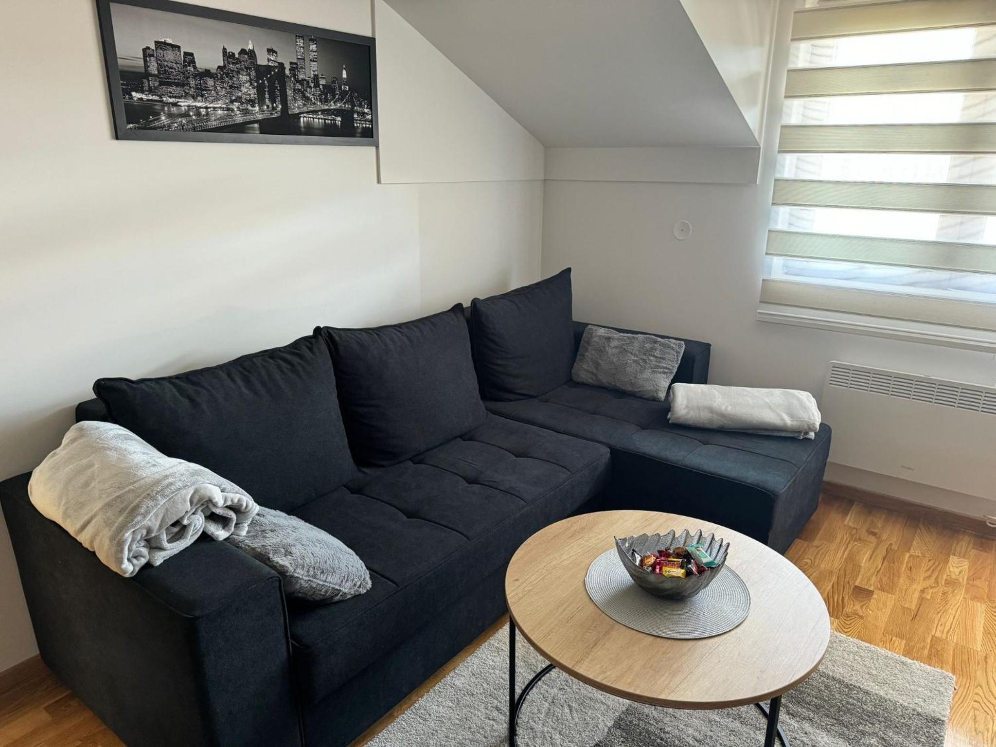 Lux Apartman Aleksandar view 4