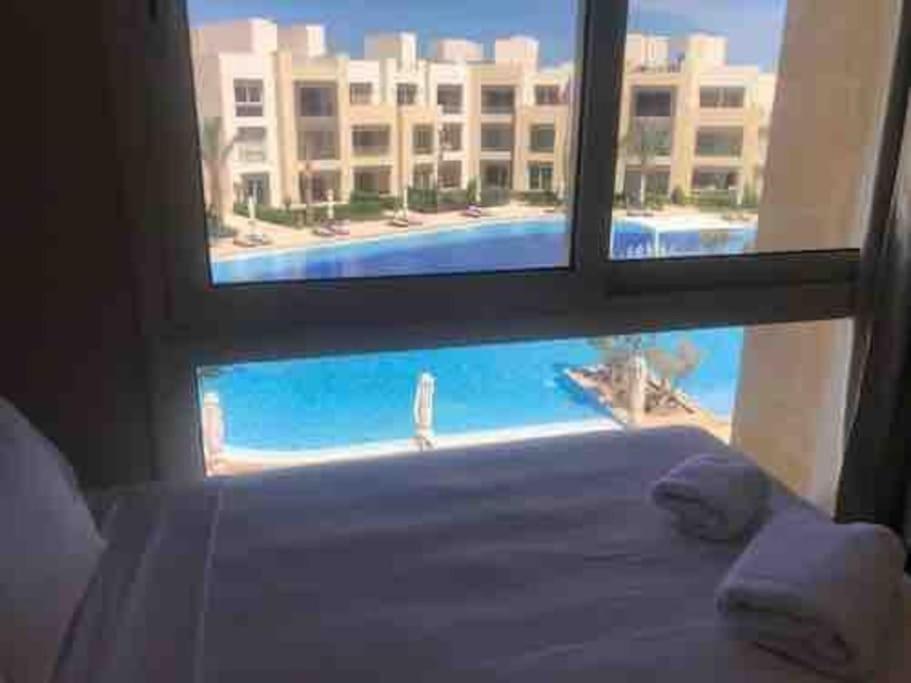 Mangroovy, Red Sea, El gouna view 3