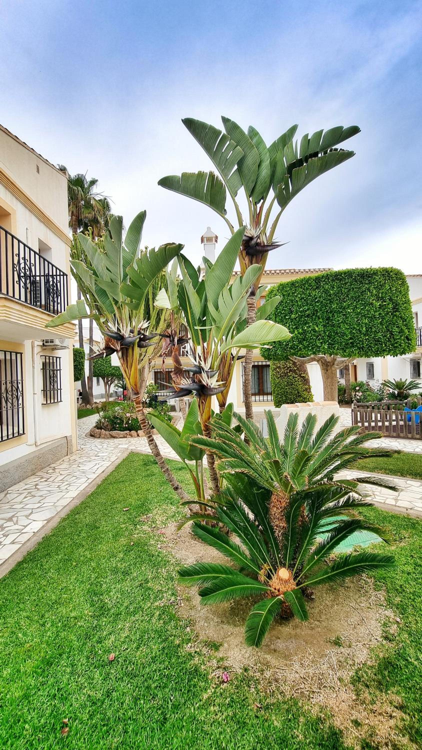 Apartamento Sol y Mar