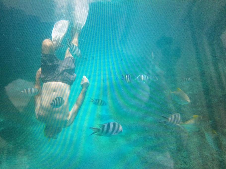 Lafous Suites by Simply-Seychelles photo 4