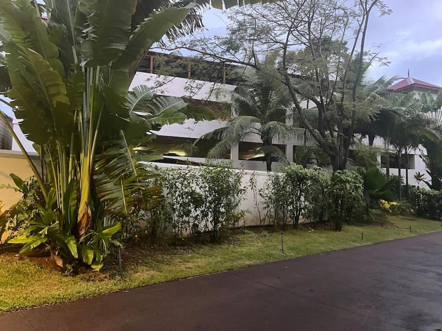 Lafous Suites by Simply-Seychelles photo 5